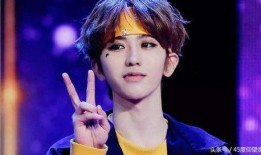 王俊凯黑粉爆料视频,真相与谣言的交织